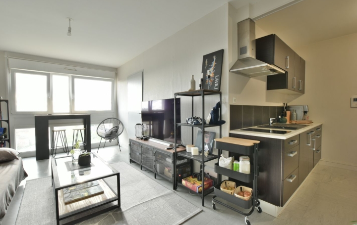  Agence Michel ROUIL Appartement | CHOLET (49300) | 40 m2 | 600 € 
